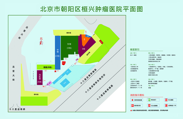 大黑鸡巴操B的视频北京市朝阳区桓兴肿瘤医院平面图